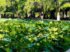 -四川大学(华西校区)