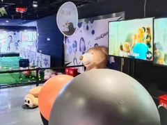 -VS SPORTS PARK运动玩乐园·团建·生日会(合生汇店)