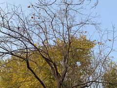 -石家庄市动物园