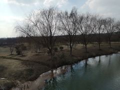 -南湖湿地公园