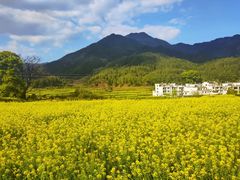 -婺源风景区