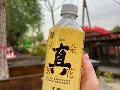 -清明上河园