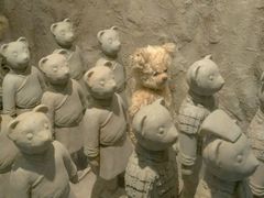 android_upload_pic-济州岛泰迪熊博物馆