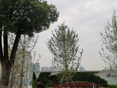 -西北湖绿化广场