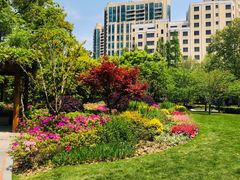 -徐家汇源景区-衡山公园