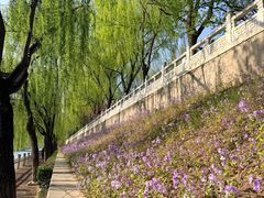 -金宫殿故址