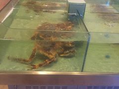 海鲜-解放碑威斯汀酒店-知味国际美食餐厅