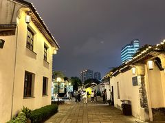 -青果巷历史文化街区