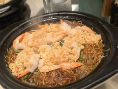 -佬肥猫(七宝宝龙店)