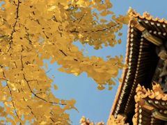 -潭柘寺景区