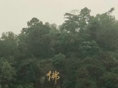 -三水森林公园