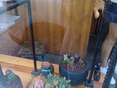 -爱尚幸福鲜花(上地实体店)