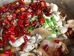 百岁鱼（乌鱼）-百岁鱼庄·常州老字号(湖塘店)