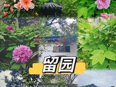 -留园