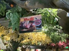 -城墙拐拐火锅(三峡广场黑金冠店)