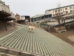 -北京鹿世界主题园