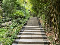 -白沙古井