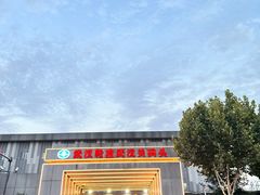 -武汉关码头(轮渡站)