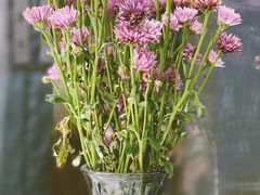 -后海16号·北京私房菜