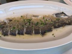 -顺峰(农展馆店)