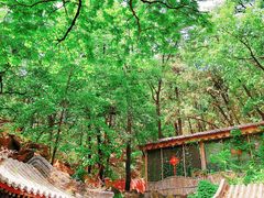 -潭柘寺景区