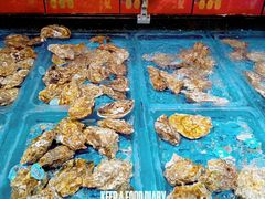 -盒马鲜生(双清路店)