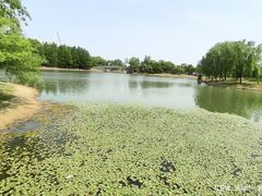 -尚贤河湿地