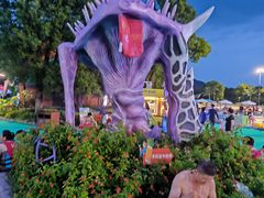 -苏州乐园森林水世界