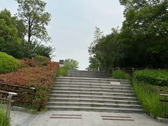 -羊山湖公园