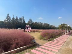 -嘉北郊野公园