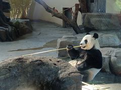 -宁波野生动物园