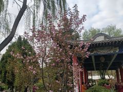 -金城公园