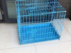 -江阴花鸟市场