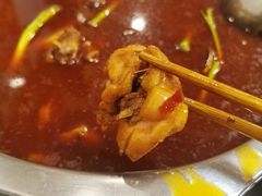 -冯记香辣兔火锅(茶店子总店)