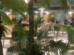 -春润大地海南椰子鸡(沙井京基百纳广场店)