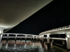 -演武大桥观景平台