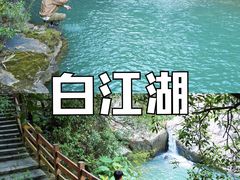 -广州白江湖森林公园