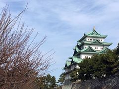 -名古屋城