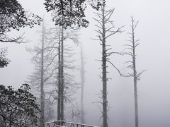 -瓦屋山景区