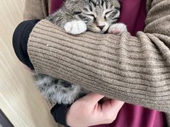 -爱诺耐芙动物医院(万博店)