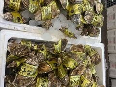 -众彩物流水产市场