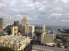 -新加坡瑞士史丹福酒店