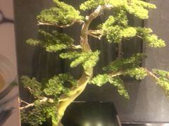 -百富源·海鲜辽菜(浑河堡店)