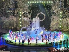 -灵玲国际马戏城