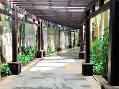 -海口观澜湖火山温泉谷