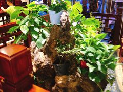 -荔枝苑养生餐厅(尊尚领地店)