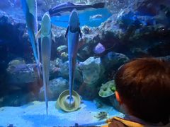 -海合安成都极地海洋公园