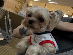 -逸桂禾面馆