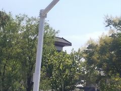 -咸阳湖景区-古渡公园