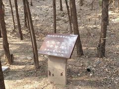 -北京鹫峰国家森林公园